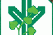 logo lesy čr