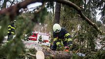 Pád stromu v Pekelském údolí u Nového Města nad Metují odstraňovali dobrovolní hasiči.