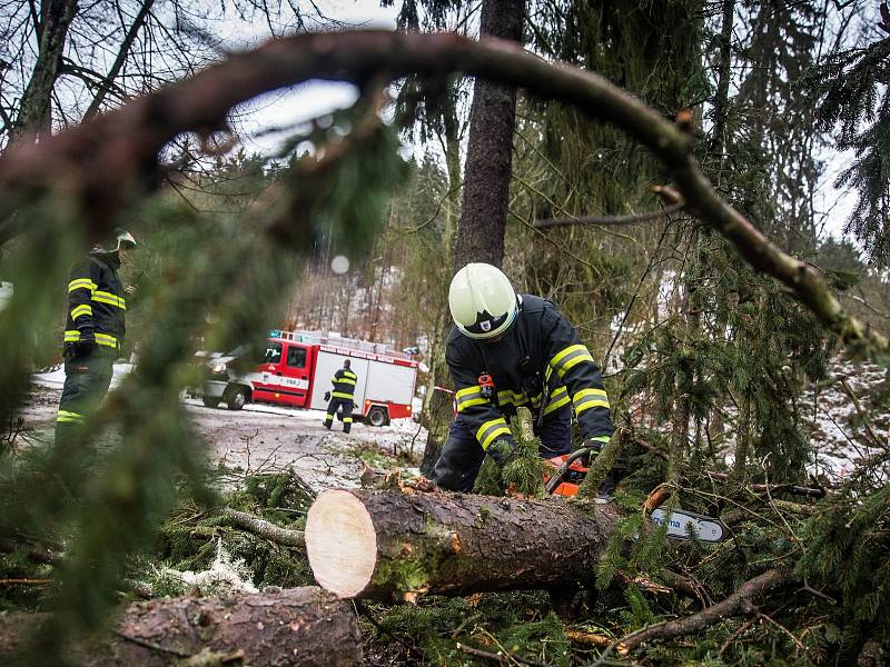 Pád stromu v Pekelském údolí u Nového Města nad Metují odstraňovali dobrovolní hasiči.