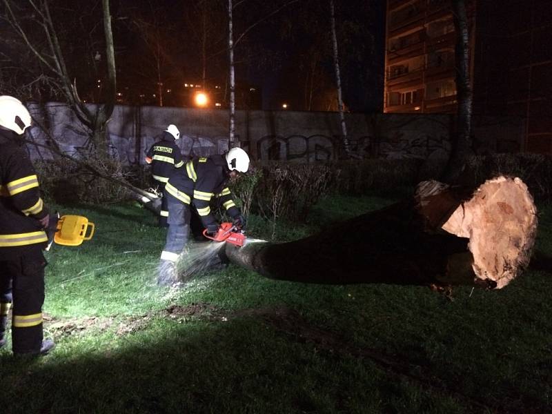 Pád stromu v hradecké ulici Jungmannova.