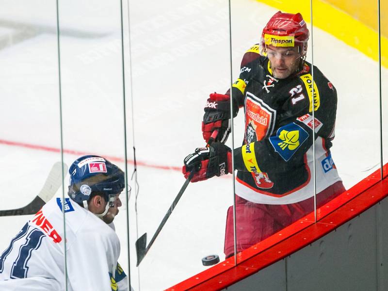 Tipsport extraliga ledního hokeje: Mountfield HK - Bílí Tygři Liberec.