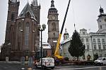 Vánoční strom na Velké náměstí přivezly Technické služby z Předměřic nad Labem.