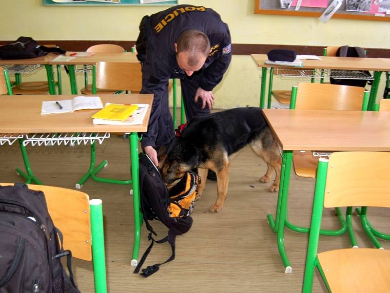 Policejní prohlídka školy v Plesné