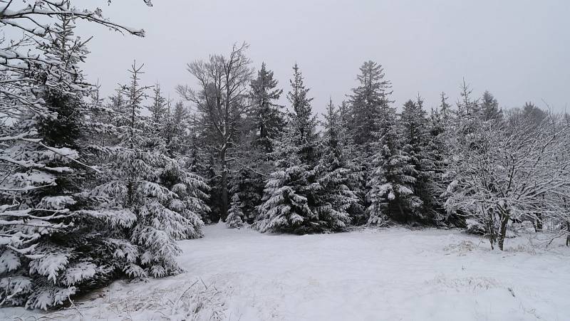 Sníh v kopcích nad Mariánskými Lázněmi.