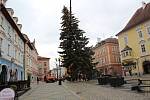 Vánoční strom v Karlovarském kraji už v těchto dnech ozdobil chebské náměstí.
