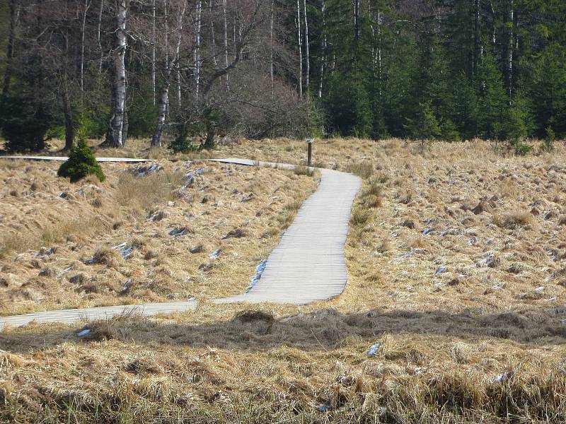 Kladská, jedno z nejkrásnějších míst na Chebsku, se nachází severně od Mariánských Lázní. Rybník a lovecký zámeček Kladská jsou v centru nejcennějšího území chráněné krajinné oblasti Slavkovský les.