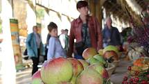 Pestrobarevná jablka a hrušky, voňavé, čerstvě upečené štrúdly a pestrobarevné dětské obrázky. Takový byl ve zkratce další ročník vyhlášeného Lázeňského festivalu jablek v Mariánských Lázních.