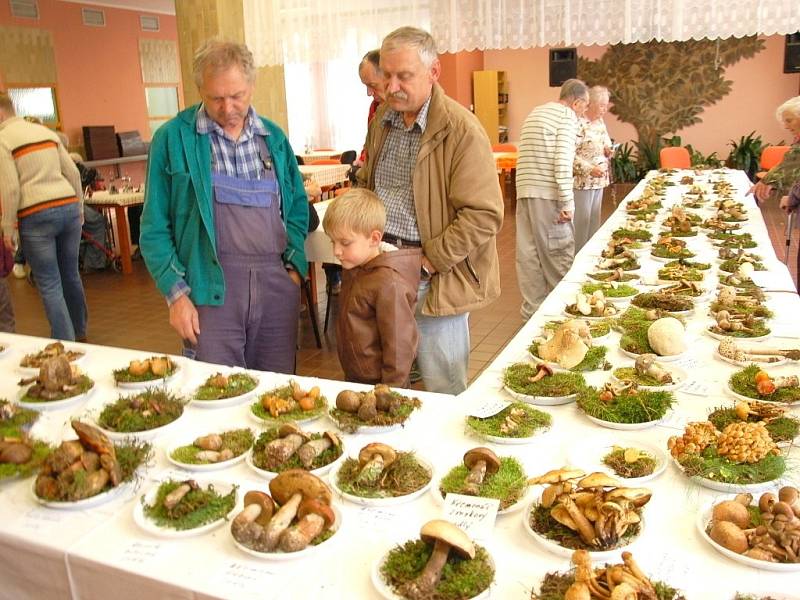  Nejen senioři si mohli prohlédnout celkem sto čtyřicet druhů hub v Domově pro seniory na chebském sídlišti Skalka. 