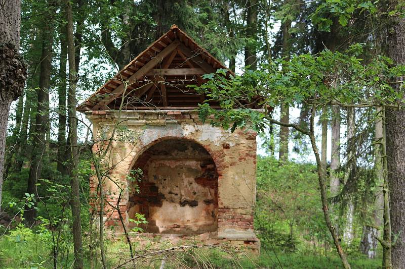 Botanická exkurze do údolí Odravy a Mohelenského potoka.