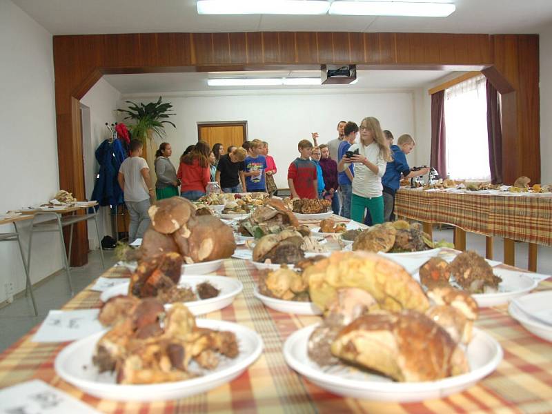 Ekologické centrum v Chebu  zaplnilo sto padesát druhů hub.