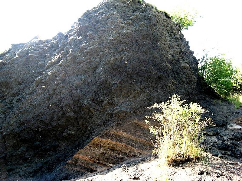 Čtvrtohorní sopka Železná hůrka u Chebu. 