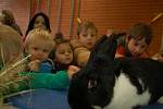 Na výstavu zvířat v německém Hohenbergu zavítaly děti z Domu dětí a mládeže Sova v Chebu.