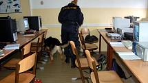 Prohlídka školy v Plesné. Policejní psi hledali drogy. Jednalo se o preventivní akci