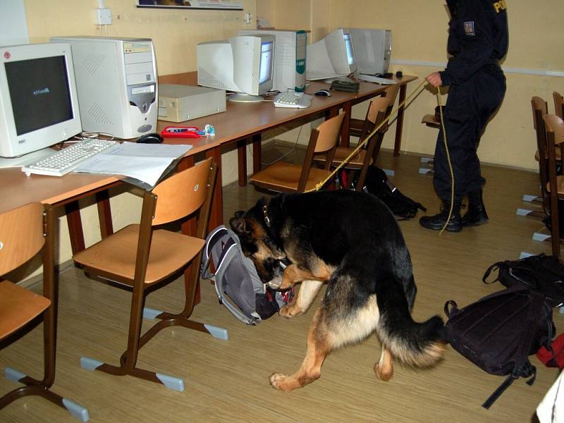 Prohlídka školy v Plesné. Policejní psi hledali drogy. Jednalo se o preventivní akci