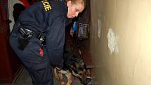 Prohlídka školy v Plesné. Policejní psi hledali drogy. Jednalo se o preventivní akci