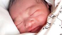 MINH AN TRAN LUONG se narodila ve čtvrtek 14. března v 9.45 hodin. Při narození vážila 2 700 gramů a měřila 46 centimetrů. Z malé dcerušky se radují doma v Chebu maminka Ngan spolu s tatínkem Chien.