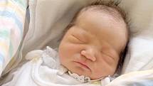 ENEREL SANCHIR se narodil v úterý 14. května ve 20.50 hodin. Na svět přišel s váhou 3 050 gramů a mírou 51 centimetrů. Z malého Synka se raduje doma v Aši maminka Bajsa.