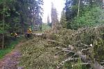 Chebskem se prohnala bouřka, která vyvracela stromy.