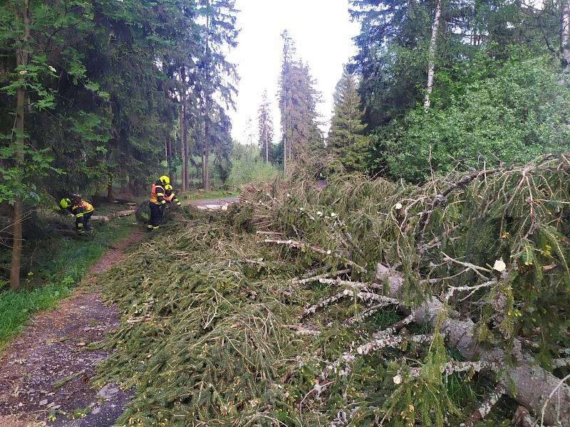 Chebskem se prohnala bouřka, která vyvracela stromy.