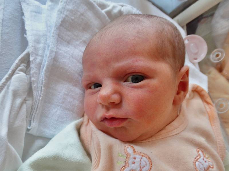 ADÉLA DVOŘÁKOVÁ se narodila 6. dubna ve 13:54 mamince Zdeňce a tatínkovi Tomášovi z Mariánských Lázní. Po příchodu na svět v plzeňské FN vážila sestřička Danečka 3300 gramů a měřila 50 centimetrů.