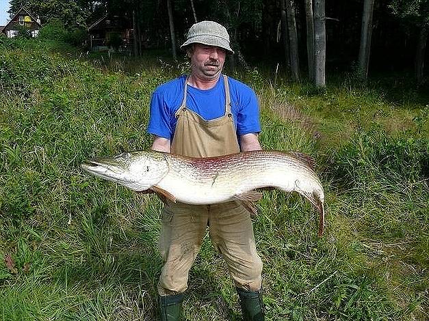 Chebský rybář Karel Kovář ukazuje svůj úlovek. Štiku dlouhou 130 centimetrů, kterou ulovil na Jesenické přehradě v neděli 1. července ráno