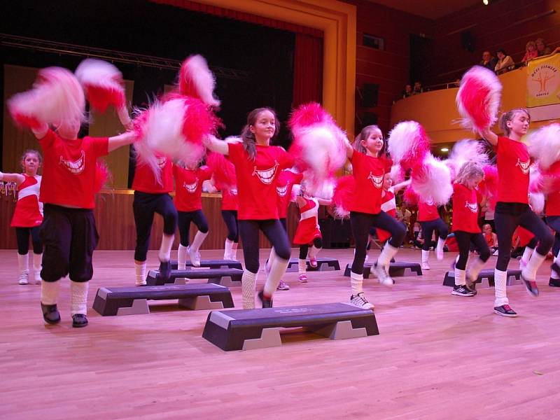 PŘI SOUTĚŽI „DĚTI FITNESS“ předvedvedli mladí mnoho zajímavých choreografií.