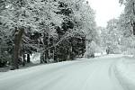 Zasněženou silnici z Lázní Kynžvart do Kladské a Pramenů silničáři nesmí chemicky ošetřovat. Zimní údržbu provádí jen pluhováním.