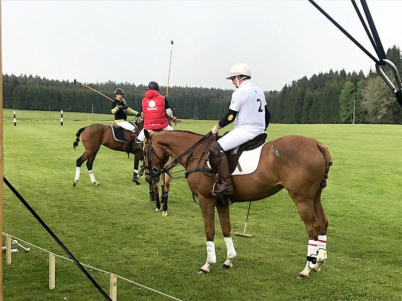 Royal Golf & Polo cup