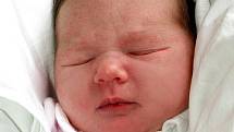 MICHAELA KŘÍŽOVÁ se narodila v pondělí 4. dubna v 11.30 hodin. Při narození vážila 3500 gramů a měřila 49 centimetrů. Doma v Chebu se z malé Michalky raduje sestřička Lucinka, maminka Barbora spolu s tatínkem Radkem.