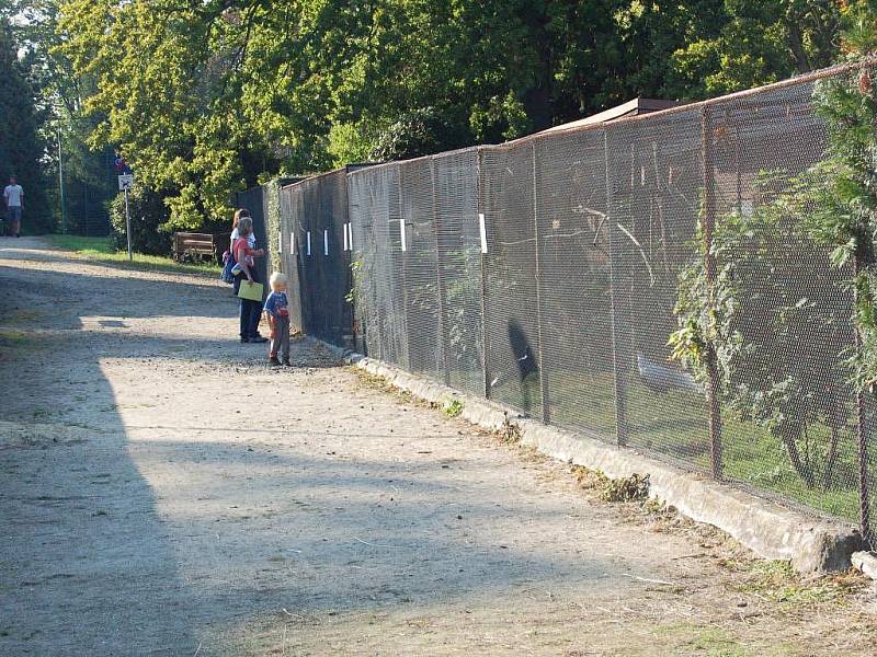 Dům dětí a mládeže Sova Cheb uspořádal Den otevřených dveří. Zval malé i velké na přehlídku zájmových kroužků, které pro tento školní rok nabízí