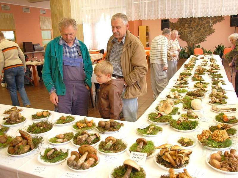  Nejen senioři si mohli prohlédnout celkem sto čtyřicet druhů hub v Domově pro seniory na chebském sídlišti Skalka. 