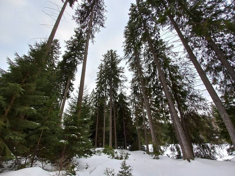 Kladskou na Mariánskolázeňsku zasypal sníh.