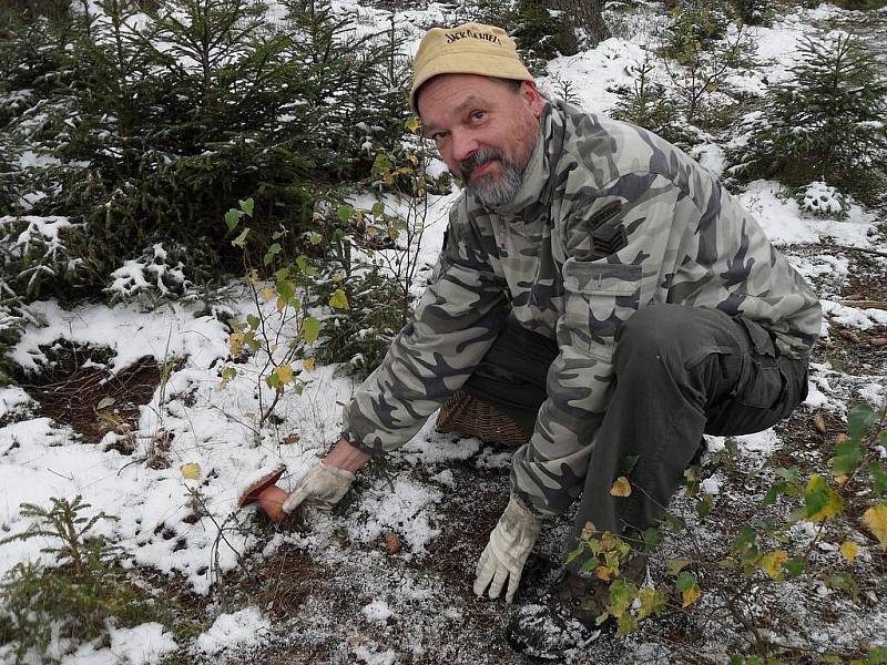 CHEBŠTÍ  MYKOLOGOVÉ připravili pro seniory z chebské Skalky výstavu,  kde bylo k vidění 117 druhů hub. 