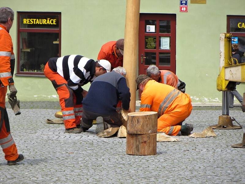 Pracovníci chebského infocentra a Chebských technických služeb postavili májku na chebském náměstí. 