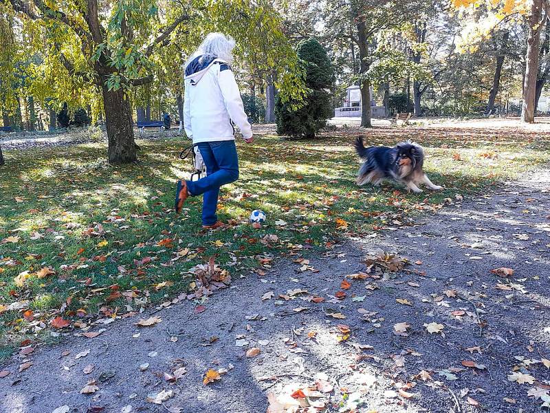 Podzim ve Františkových Lázních láká velkou řadu turistů. Největší klientelu zastupují němečtí návštěvníci, velkou oblibu má město i u tuzemských hostů.