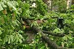 Následky páteční bouřky v Chebu