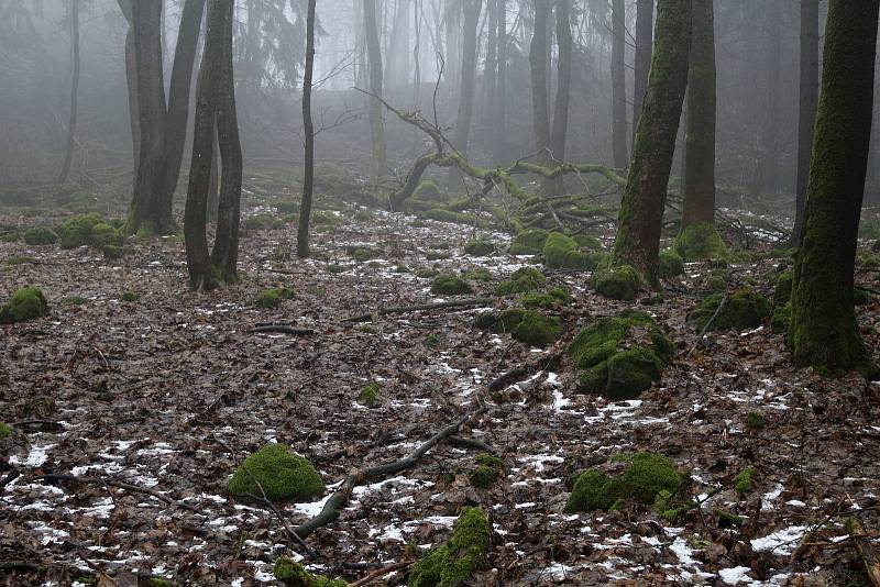 Novoroční výšlap na Podhorní vrch.