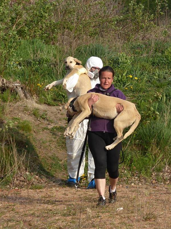 Fotografie ze záchranné akce.