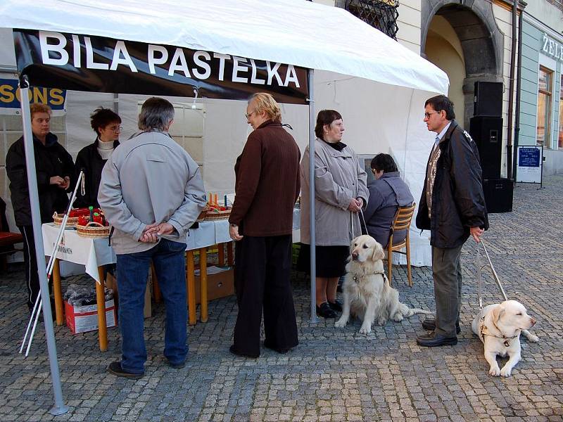 Sbírka Bílá Pastelka v Chebu