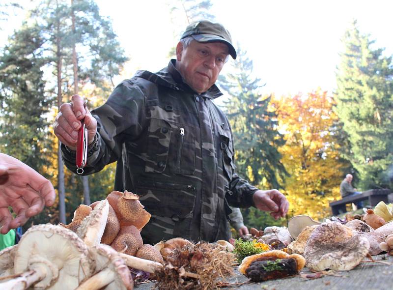 Které houby jsou ještě jedlé a které už není vhodné na podzim sbírat? Nejen to se dozvěděli lidé, kteří se o víkendu zúčastnili symbolického zamykání lesa na Zelené hoře u Chebu.