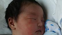 KHANH LINH DAU, chlapeček, se narodil v úterý 9. března v 10.42 hodin. Při narození vážil 3700 gramů a měřil 50 centimetrů. Doma v Chebu se z malého synka raduje maminka Khuyen spolu s tatínkem Hiepem.