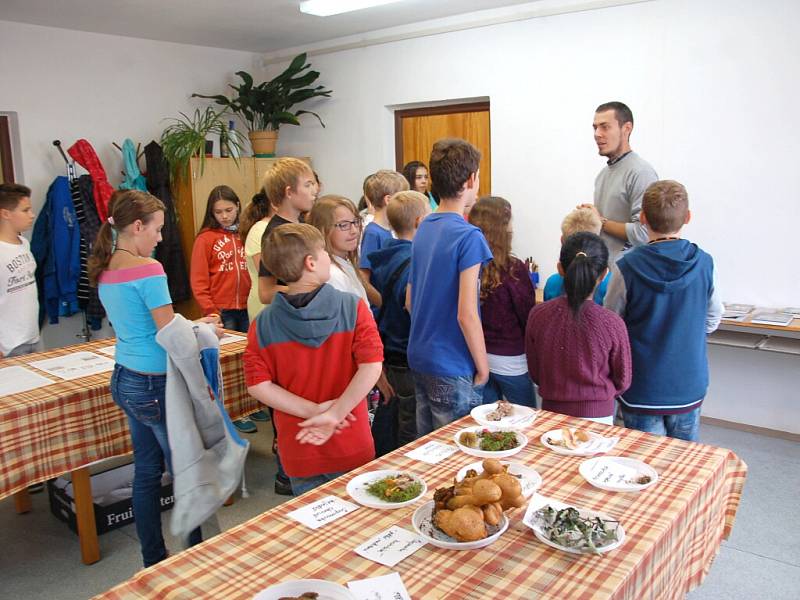 Ekologické centrum v Chebu  zaplnilo sto padesát druhů hub.