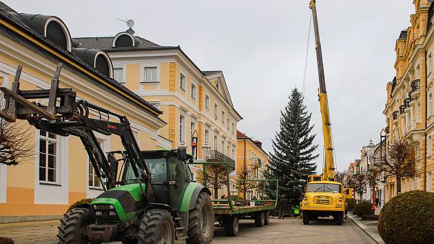 Františkolázeňskou Národní třídu zdobí dvanáctimetrový vánoční strom. Letošní je opět přímo z lázeňského města.