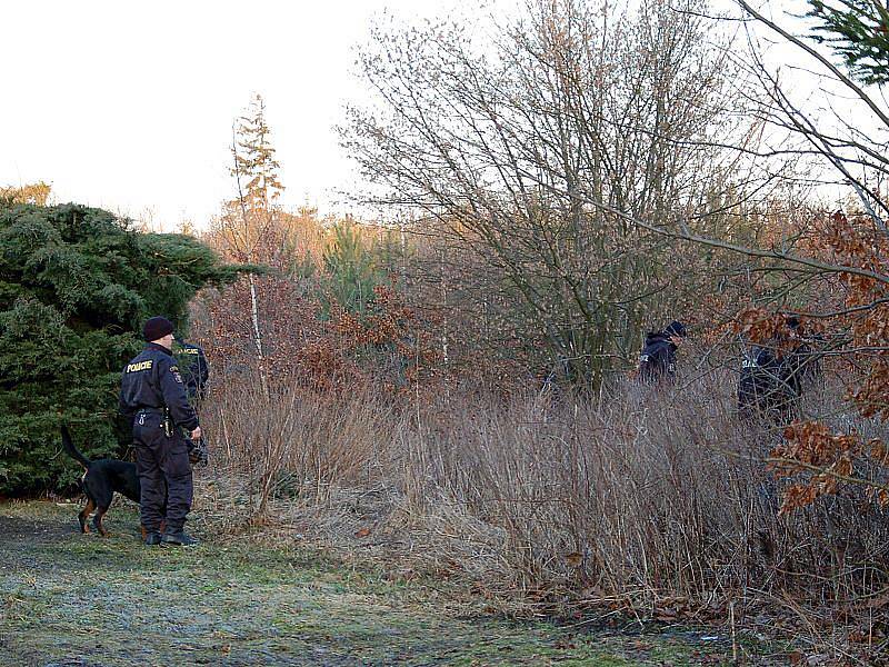 POLICISTÉ našli pohřešovanou ženu v lese u Zátiší nedaleko Františkových Lázní. 