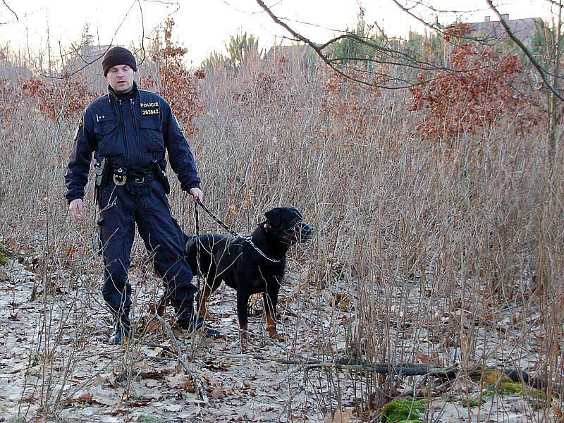 POLICISTÉ našli pohřešovanou ženu v lese u Zátiší nedaleko Františkových Lázní. 