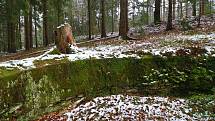 Několik zajímavostí je ukrytých v hvozdech v nejsevernější části Českého lesa.
