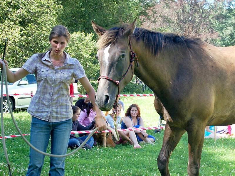 Metodu přirozené komunikace s koněm neboli horsemanship přiblížila v sobotu návštěvníkům kynžvartského zámeckého parku dvaadvacetiletá Dana Kortusová z Březové u Sokolova (na snímku).