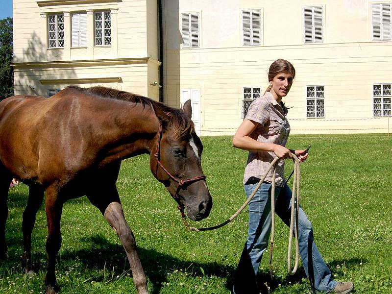 Metodu přirozené komunikace s koněm neboli horsemanship přiblížila v sobotu návštěvníkům kynžvartského zámeckého parku dvaadvacetiletá Dana Kortusová z Březové u Sokolova (na snímku).