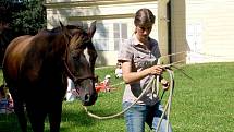 Metodu přirozené komunikace s koněm neboli horsemanship přiblížila v sobotu návštěvníkům kynžvartského zámeckého parku dvaadvacetiletá Dana Kortusová z Březové u Sokolova (na snímku).