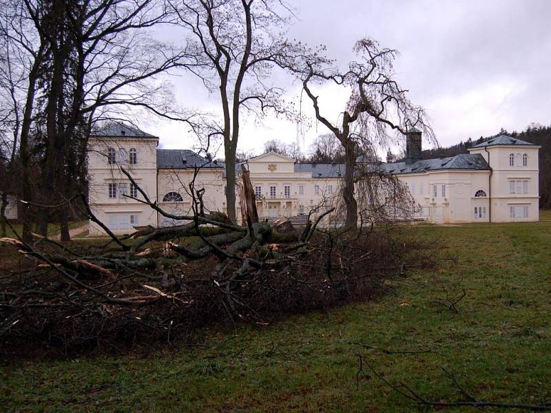 Orkán Kyrill řádil v kynžvartském zámeckém parku, kde napáchal řadu škod. Za oběť mu padla řada stromů.
